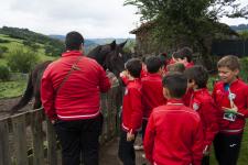 Granja2