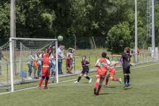 Partido1